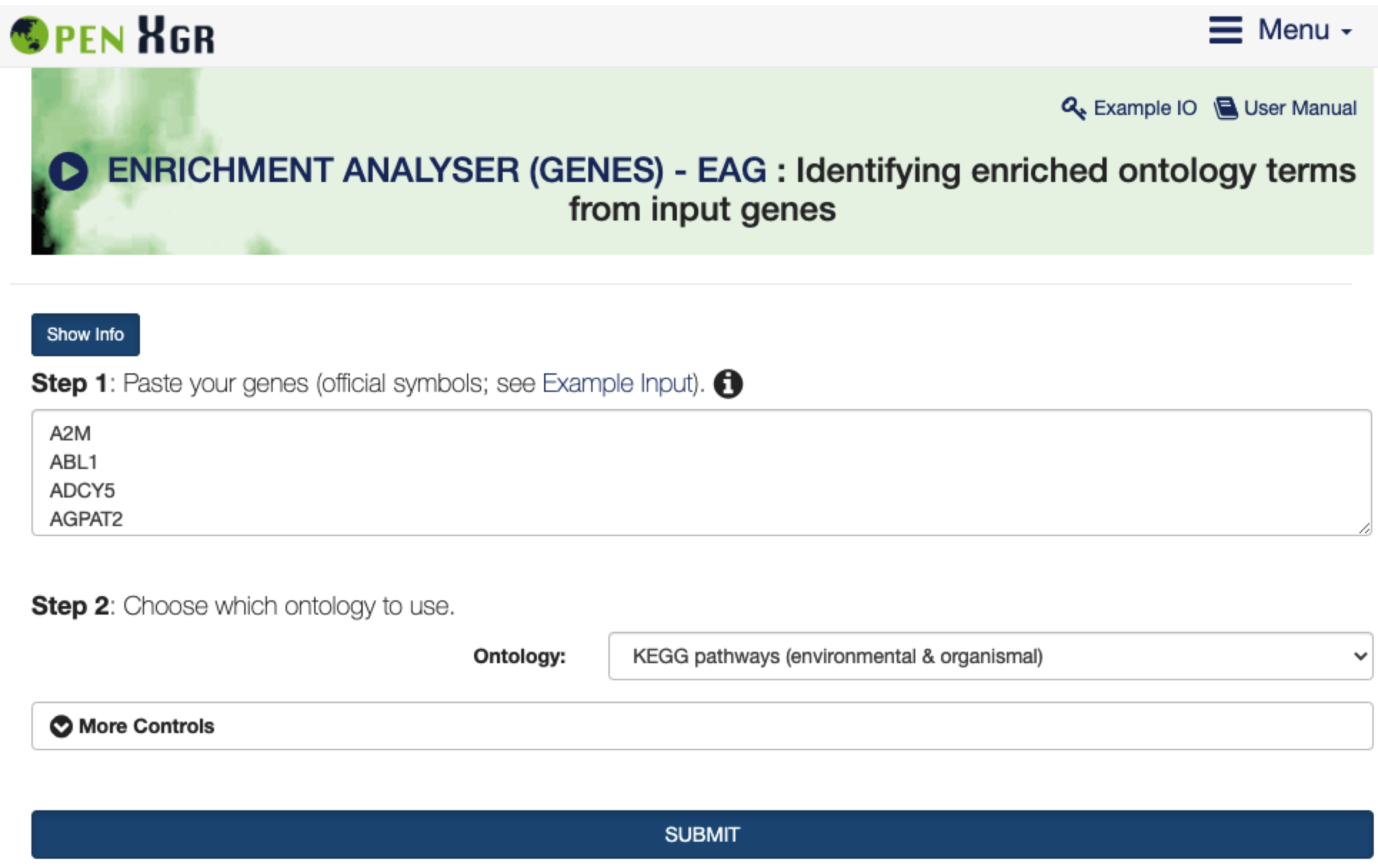 The interface of `ENRICHMENT ANALYSER (GENES) - EAG`, including the `Show/Hide Info` toggle button that contains the help information on inputs, outputs, and other information.
