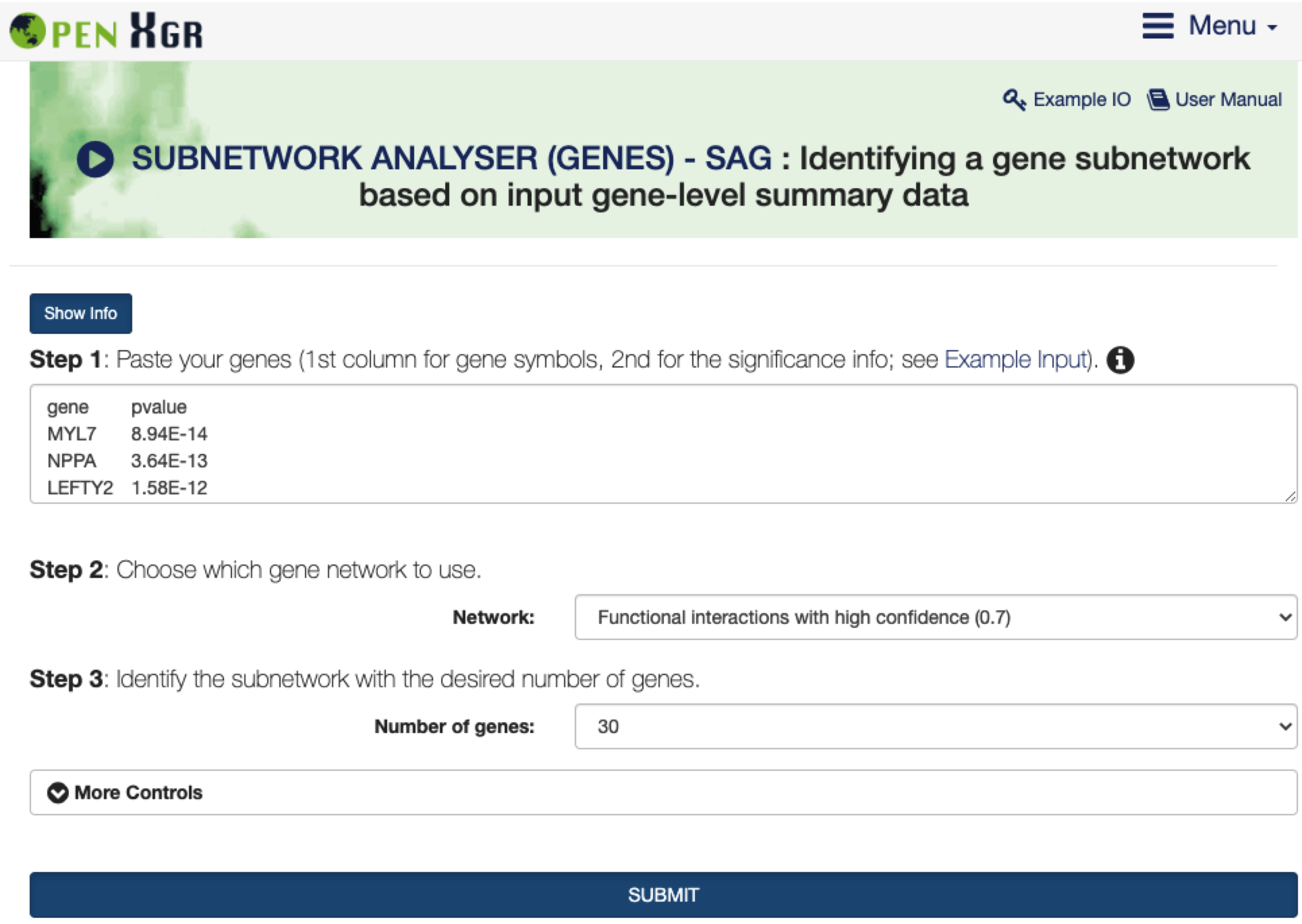The interface of `SUBNETWORK ANALYSER (GENES) - SAG`. The `Show/Hide Info` toggle button contains the help information on how to use it, including inputs, outputs, and other relevant information.