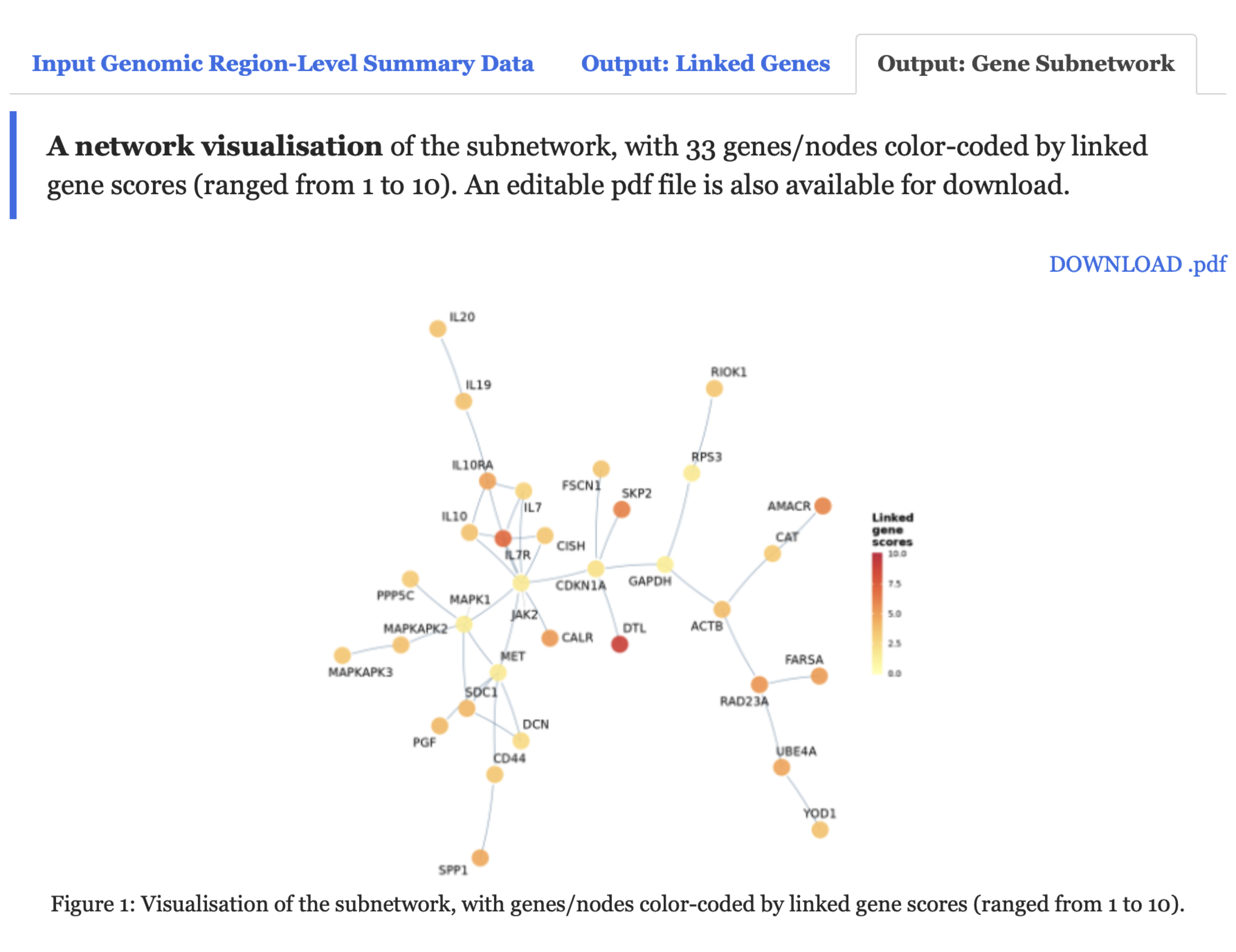 A network visualisation of the resulting subnetwork under the `Output: Gene Subnetwork` tab, with genes/nodes color-coded by linked gene scores, which range from 1 to 10.