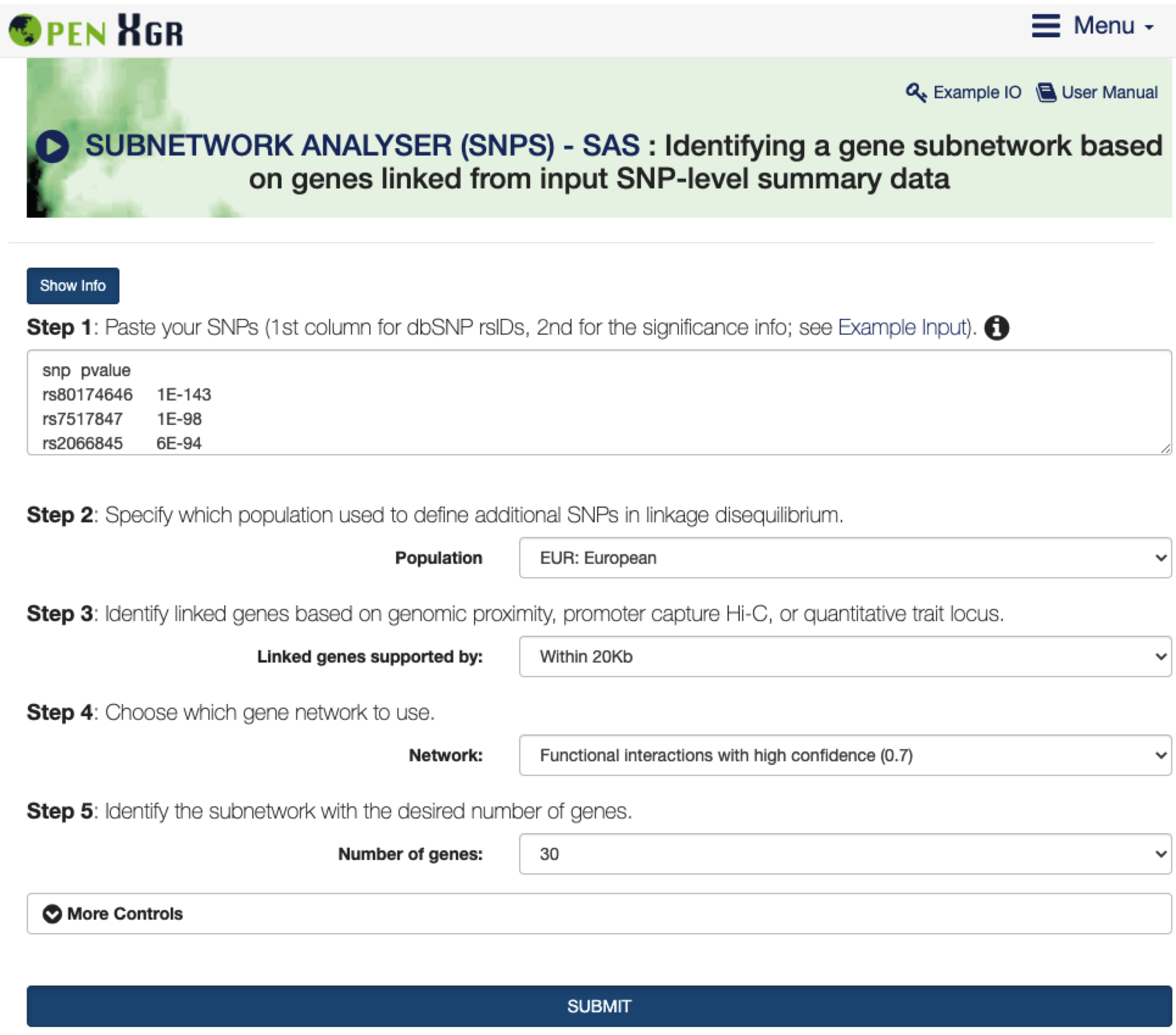 The interface of `SUBNETWORK ANALYSER (SNPS) - SAS`. The `Show/Hide Info` toggle button contains instructions on how to use the interface, including inputs, outputs, and other relevant information.