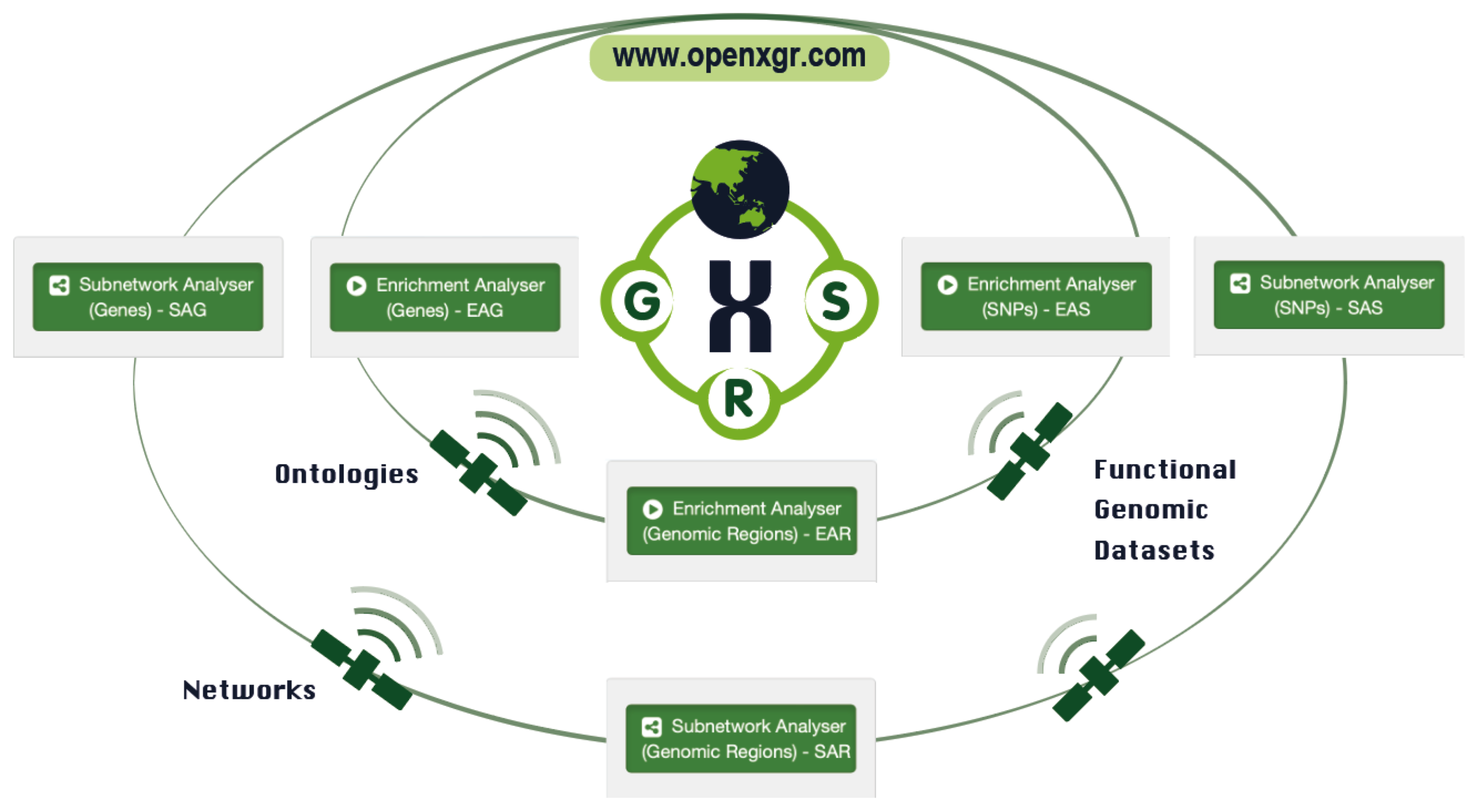 The OpenXGR web server is depicted as our 'Earth' in the sense that it comprises six analysers designed to interpret summary-level genomic data related to genes (G), SNPs (S), and genomic regions (R). Similar to satellites that orbit our planet and provide real-time information, OpenXGR leverages knowledgebase on ontologies, networks, and functional genomic datasets to enable real-time enrichment and subnetwork analyses.